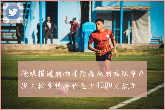 德媒报道利物浦阿森纳利兹联争夺斯文松多特要价至少4000万欧元
