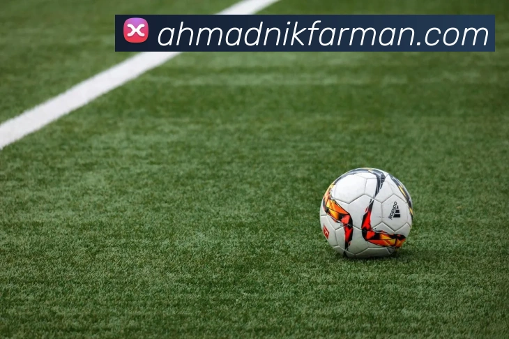 奖项证书